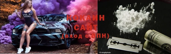 дживик Аркадак