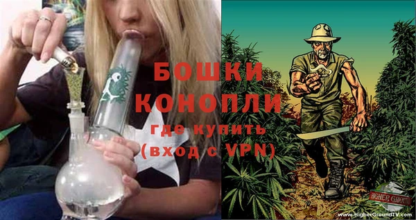 дживик Аркадак
