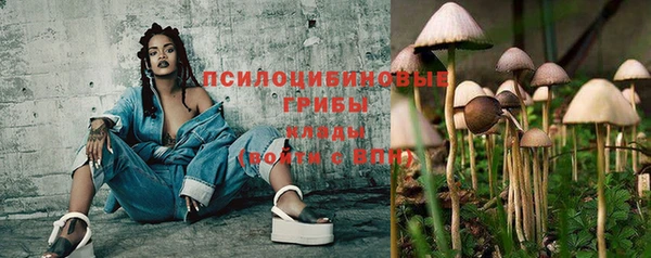 spice Арсеньев