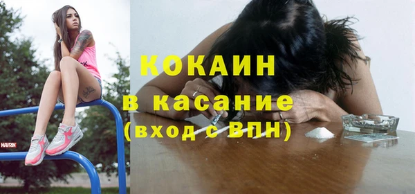 индика Алзамай