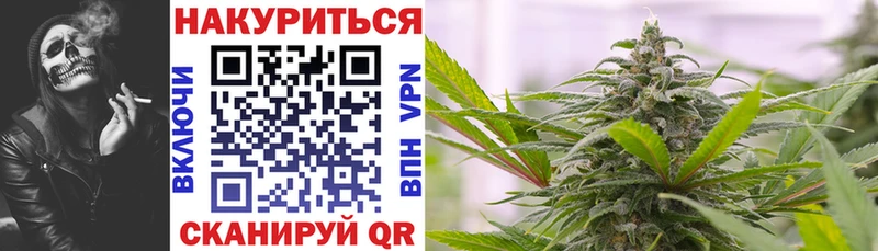 МАРИХУАНА OG Kush  Купить закладки  Кашира 